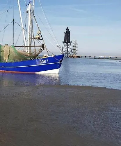 Anna دورم نيوفيلد