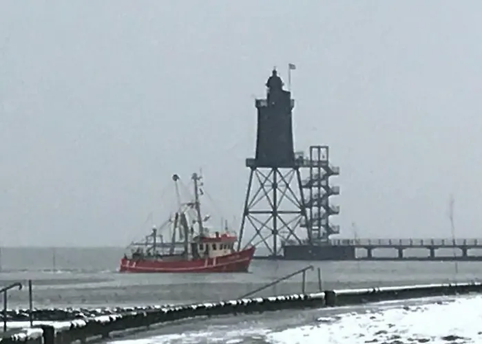 Anna דורום נויפלד