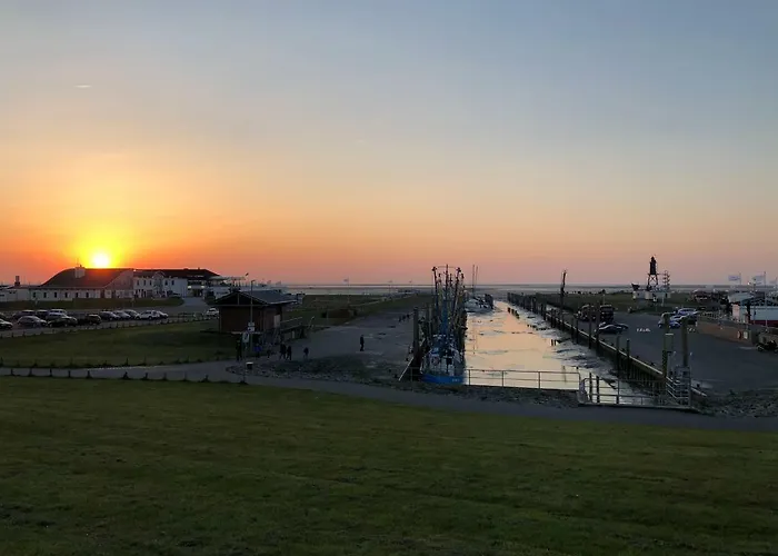 Anna * دورم نيوفيلد